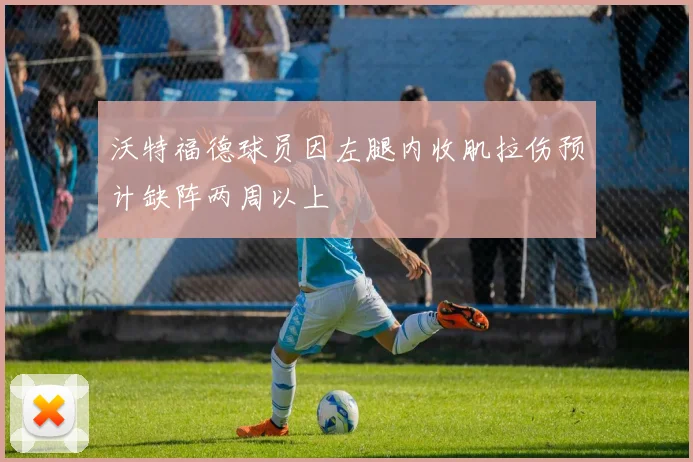 沃特福德球员因左腿内收肌拉伤预计缺阵两周以上